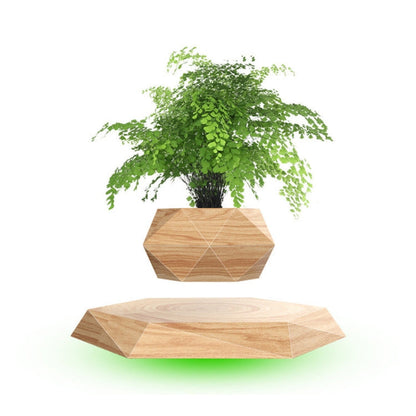 Floating Geometric Magnetic Levitating Flower Pot